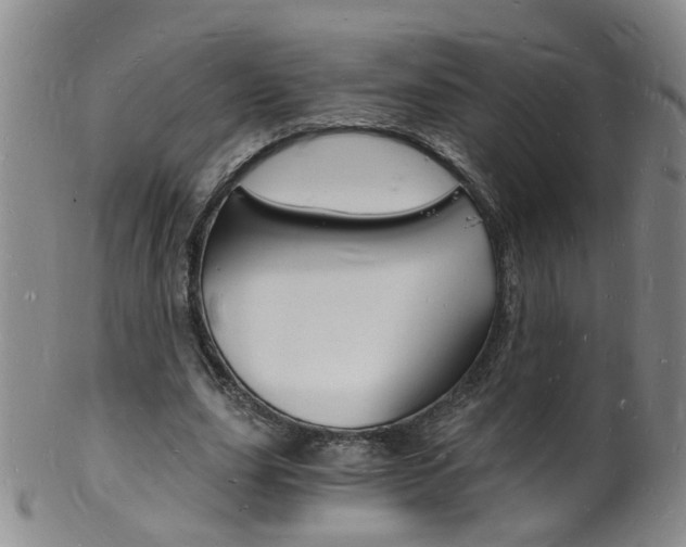 X0000101670631200807101050