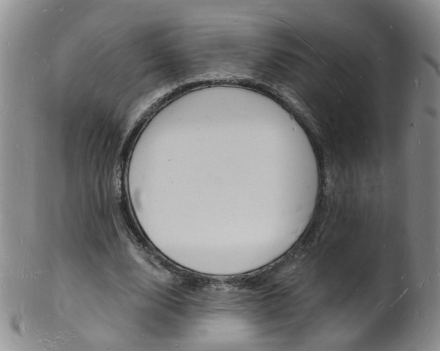 X0000101670632200807101050