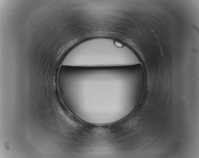 X0000101670633200807101050