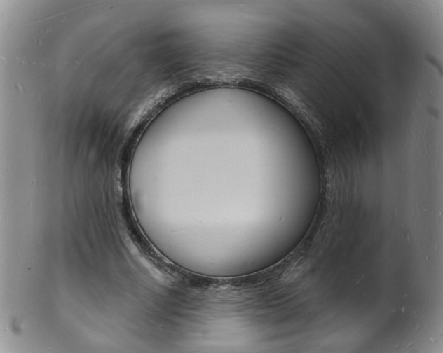 X0000101670634200807101050