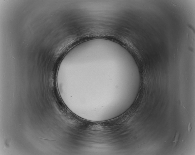 X0000101670635200807101050