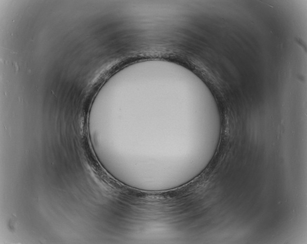 X0000101670636200807101050