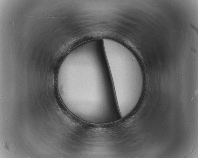 X0000101670637200807101050