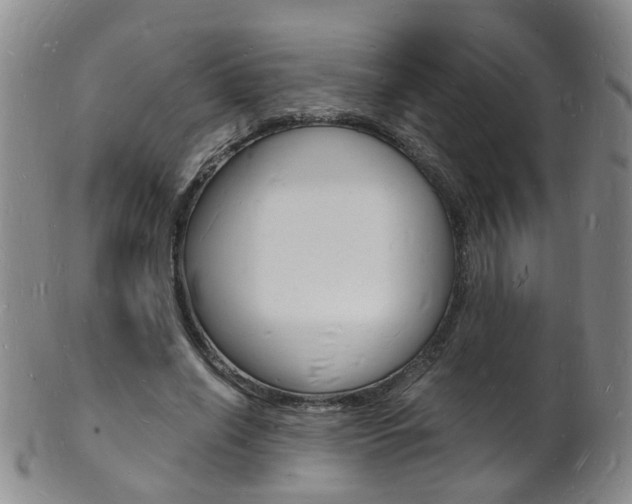 X0000101670638200807101050