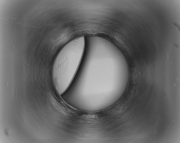 X0000101670639200807101050