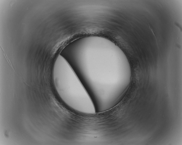 X0000101670640200807101050