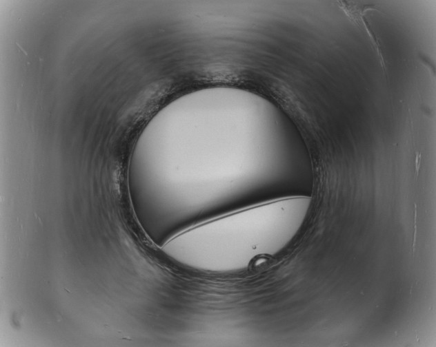 X0000101670643200807101050