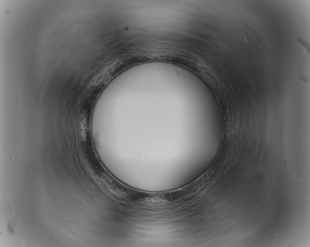 X0000101670644200807101050