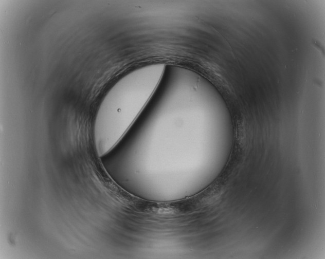 X0000101670645200807101050