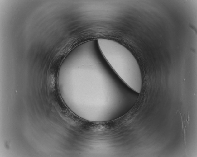 X0000101670646200807101050