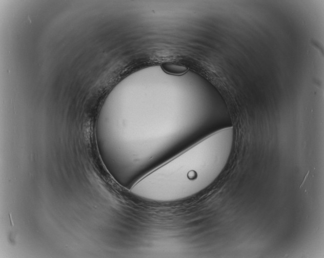 X0000101670647200807101050