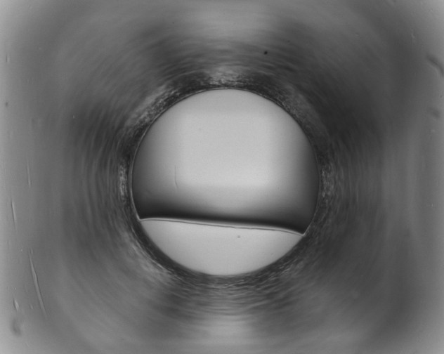 X0000101670648200807101050