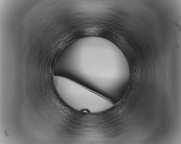 X0000101670649200807101050