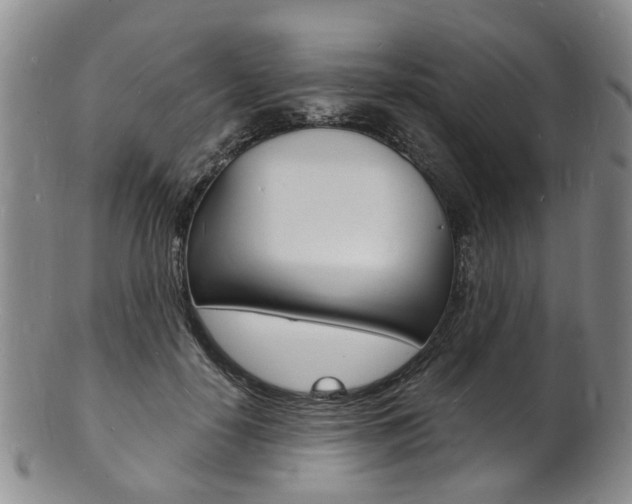 X0000101670650200807101050