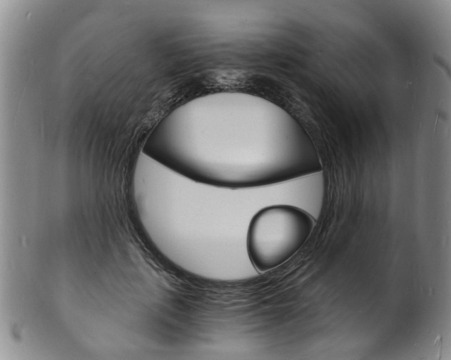 X0000101670651200807101050