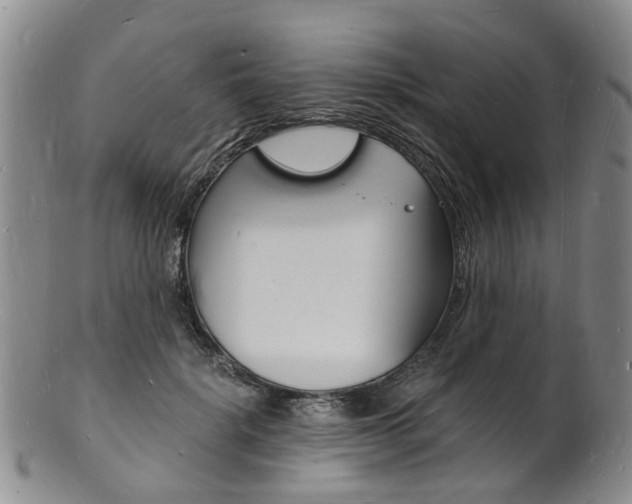 X0000101670652200807101050