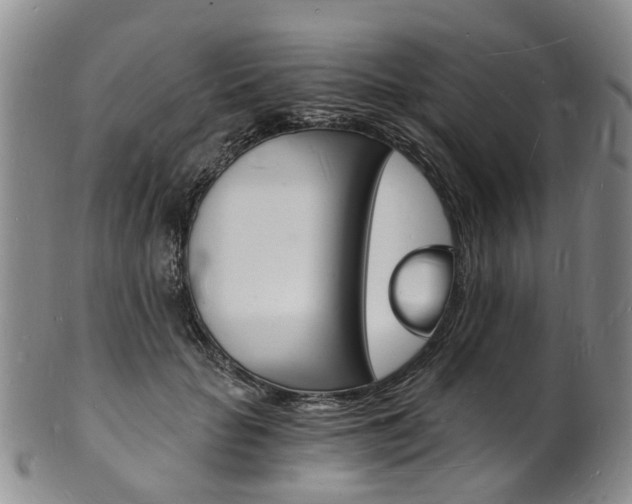 X0000101670653200807101050