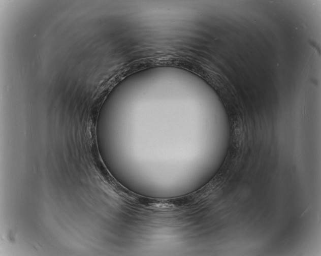 X0000101670654200807101050