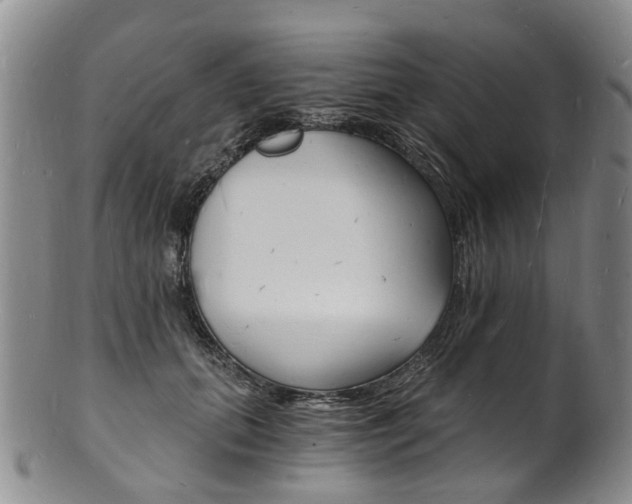 X0000101670655200807101050