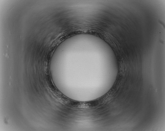 X0000101670656200807101050