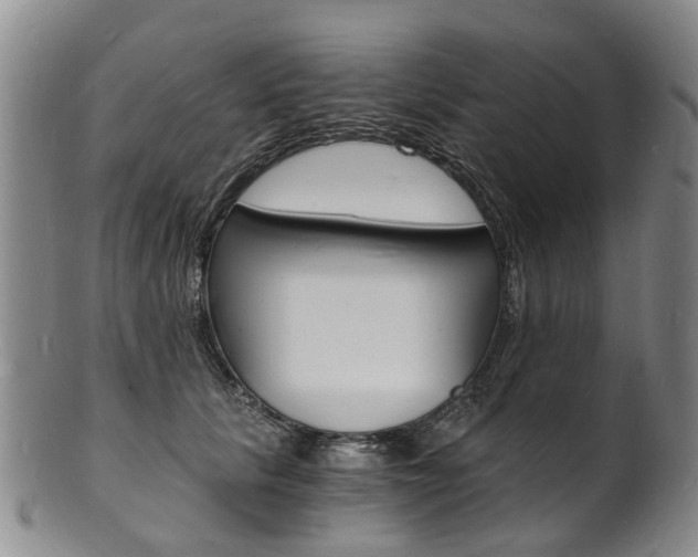 X0000101670657200807101050
