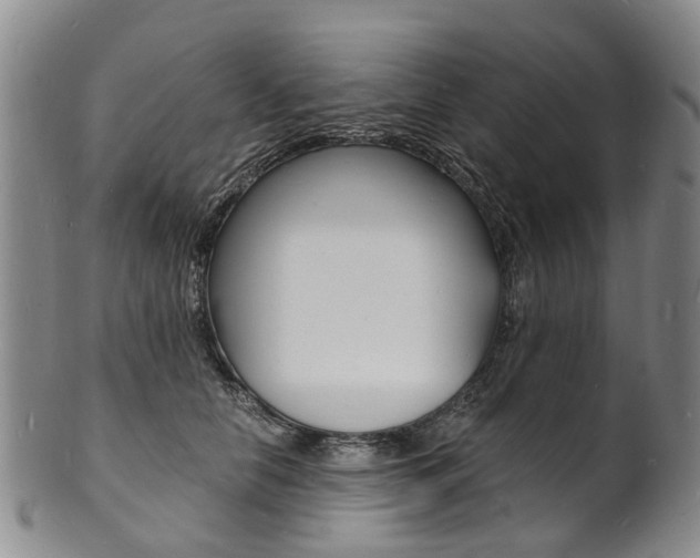 X0000101670658200807101050