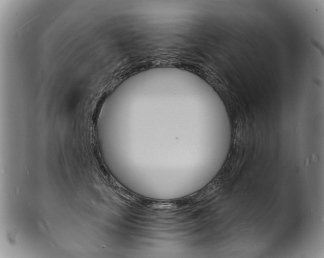 X0000101670659200807101050