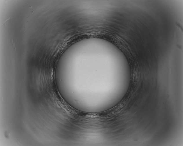 X0000101670660200807101050