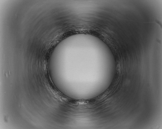 X0000101670662200807101050