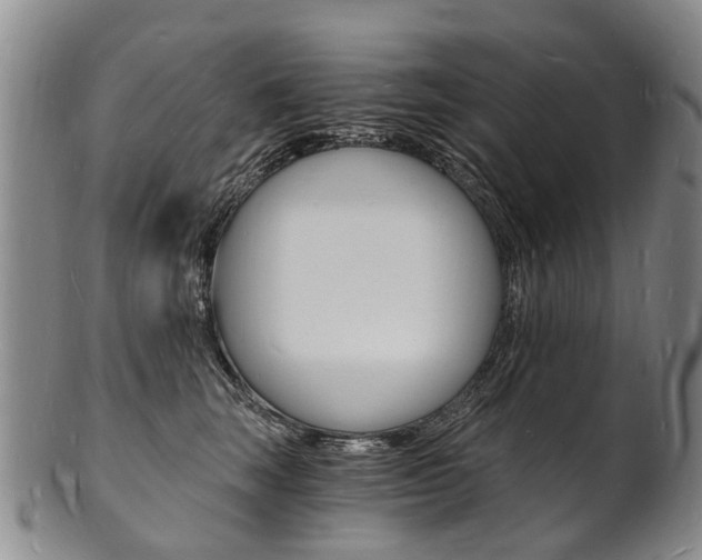 X0000101670663200807101050