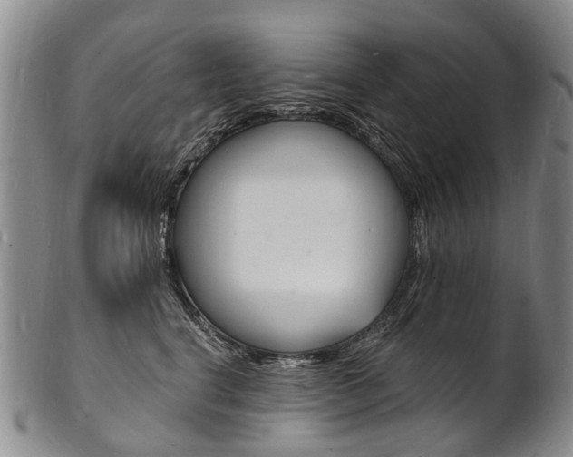 X0000101670664200807101050