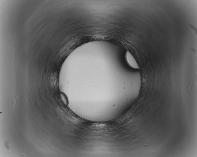 X0000101670665200807101050