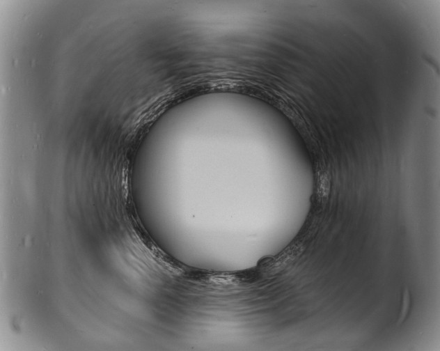 X0000101670666200807101050
