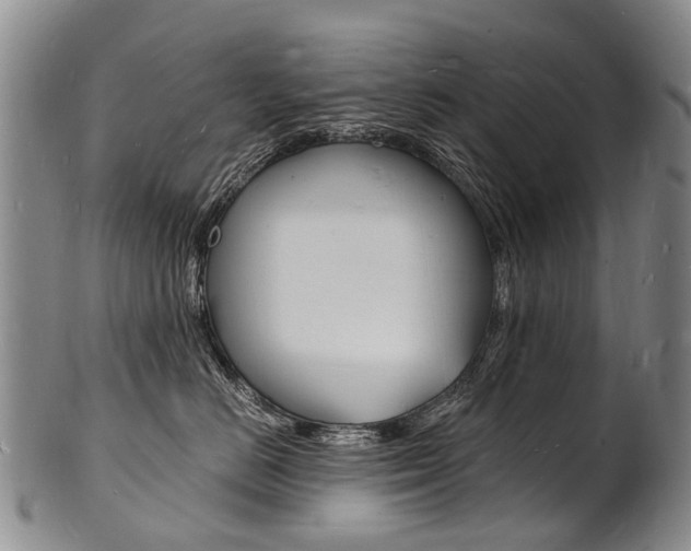 X0000101670670200807101050
