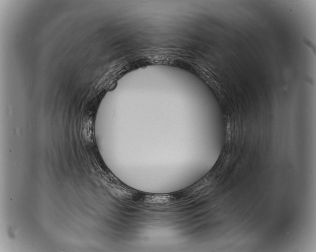X0000101670671200807101050