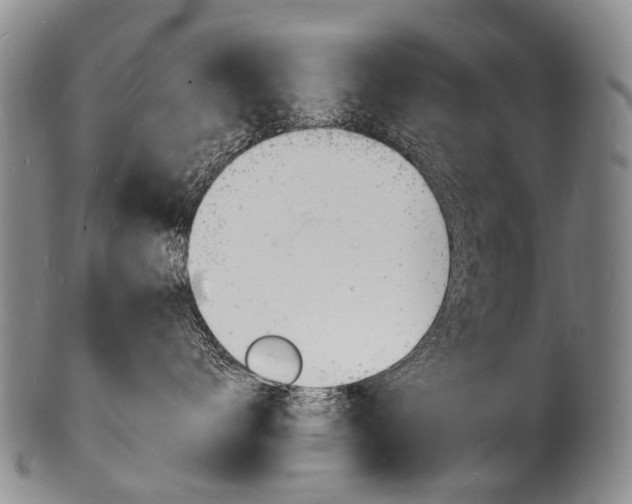 X0000101670672200807101050