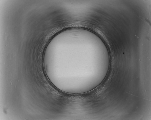 X0000101670673200807101050