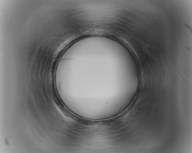 X0000101670674200807101050