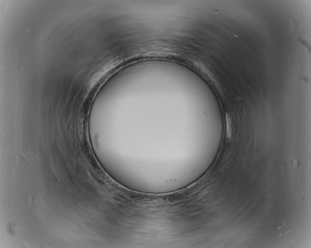X0000101670675200807101050