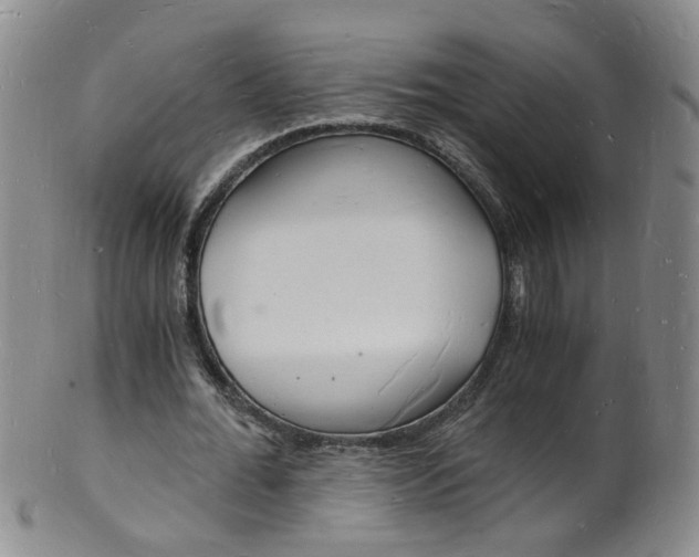 X0000101670676200807101050