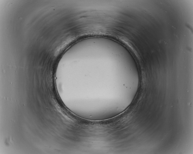 X0000101670677200807101050