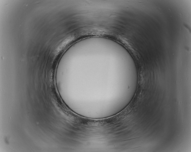 X0000101670679200807101050