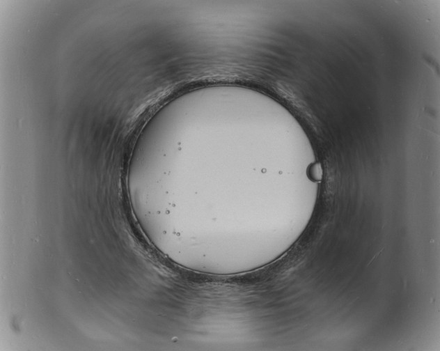 X0000101670681200807101049