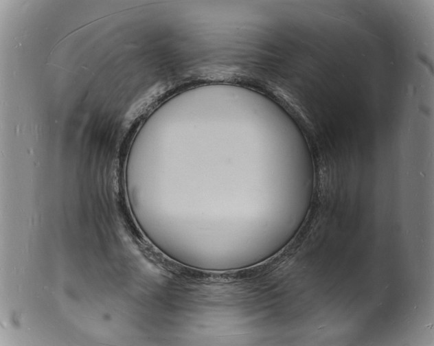 X0000101670682200807101049