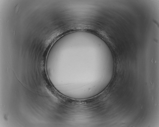 X0000101670683200807101049