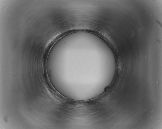 X0000101670684200807101049