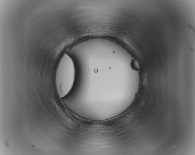 X0000101670685200807101049