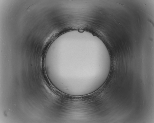 X0000101670686200807101049
