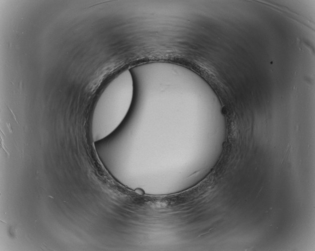 X0000101670687200807101049