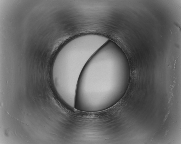 X0000101670688200807101049